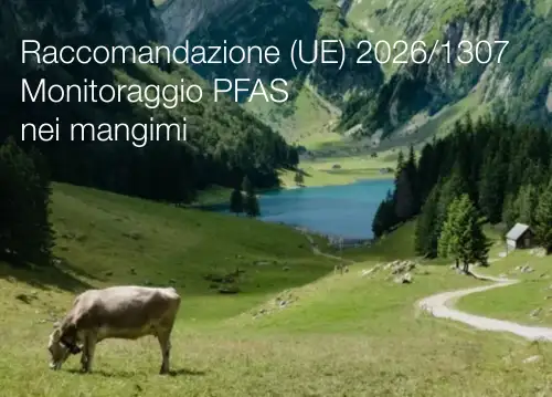 Raccomandazione (UE) 2026/1307